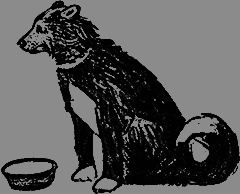 На полюсе (Изд. 1980 г.) - _07_str13.png