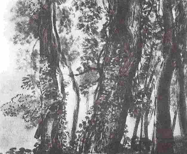 Пейзаж в искусстве - i_071.jpg