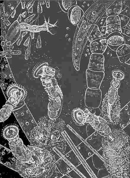 Пейзаж в искусстве - i_124.jpg