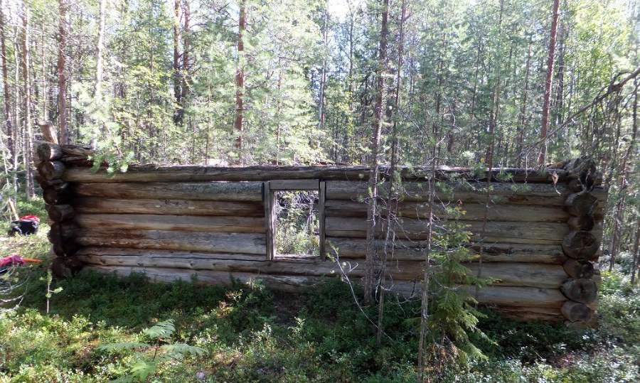 Лесные командировки Соловецкого лагеря в Карело-Мурманском крае. 1929–1931 гг. - _2.jpg