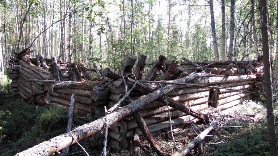 Лесные командировки Соловецкого лагеря в Карело-Мурманском крае. 1929–1931 гг. - _3.jpg