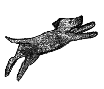 Былое и думы собаки Диты - i_007.png