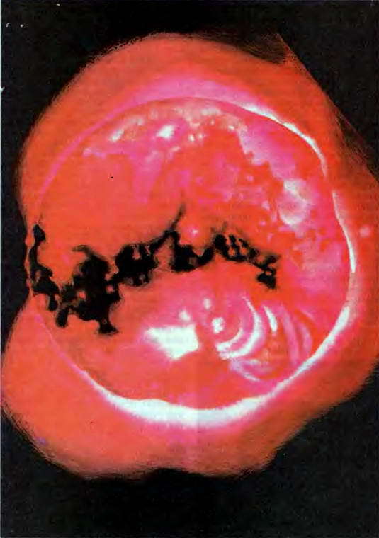 Мир астрономии. Рассказы о Вселенной, звездах и галактиках - _103.jpg