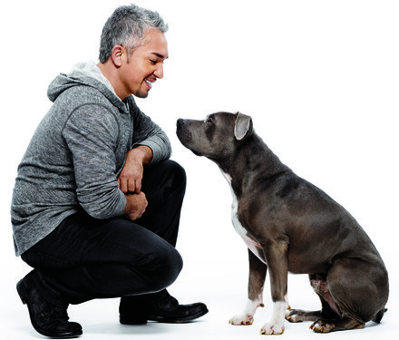 Главная книга 