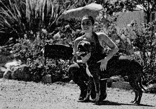 Главная книга