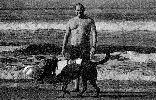 Главная книга