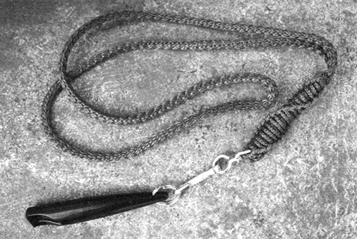 Абсолютное послушание - i_003.jpg