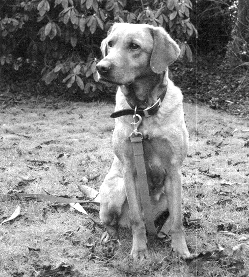 Абсолютное послушание - i_023.jpg