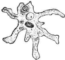 Мир живой и неживой - i_002.jpg