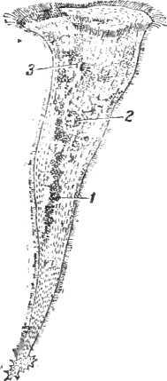 Мир живой и неживой - i_005.jpg