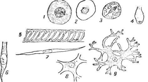 Мир живой и неживой - i_008.jpg