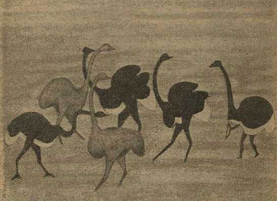 Культура бескультурных народов - i_019.jpg