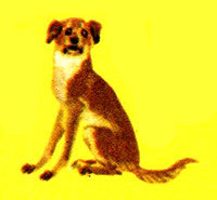 Анни Маннинен - i_072.jpg