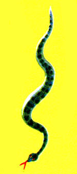 Анни Маннинен - i_074.jpg