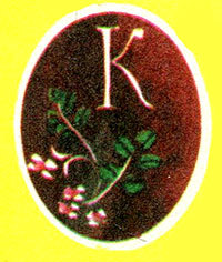 Анни Маннинен - i_087.jpg