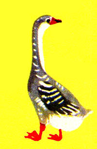 Анни Маннинен - i_104.jpg