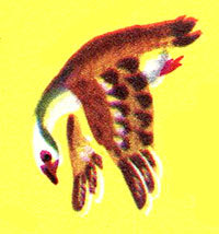 Анни Маннинен - i_108.jpg