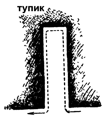 Волшебный двурог - wd_12.png