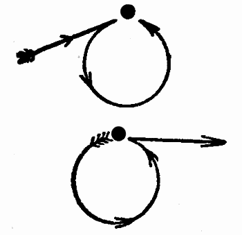 Волшебный двурог - wd_46.png