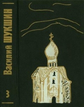 Том 3. Рассказы 70-х годов - автор Шукшин Василий Макарович 
