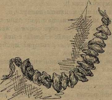 Дикари, их быт и нравы - i_050.jpg