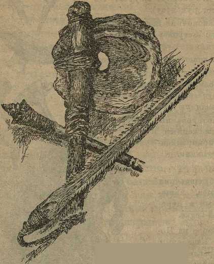 Дикари, их быт и нравы - i_061.jpg