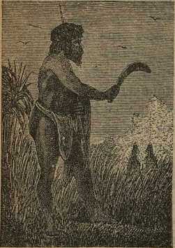 Дикари, их быт и нравы - i_064.jpg