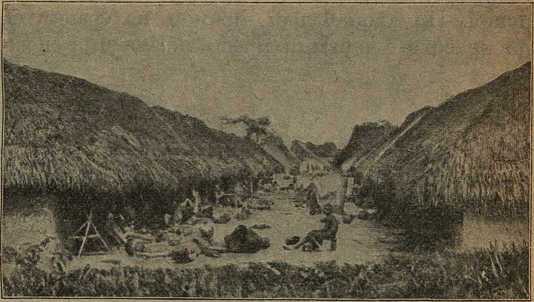 Дикари, их быт и нравы - i_075.jpg