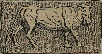 Дикари, их быт и нравы - i_148.jpg