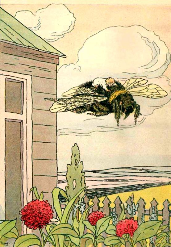 Приключения мальчика меньше пальчика<br />Из жизни насекомых - i_005.jpg