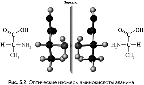 Происхождение жизни. От туманности до клетки - i_036.png