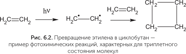 Происхождение жизни. От туманности до клетки - i_040.png