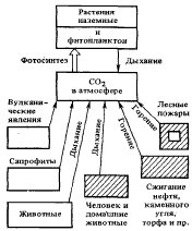 Оформление книги. Редактору и автору - c1_image067_gif.jpg