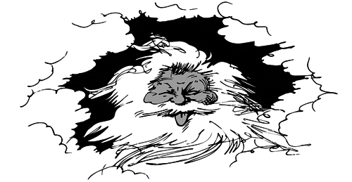 Как начать жить и не облажаться - i_002.png