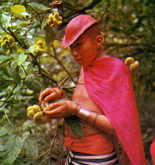 В стране драконов и сказочных птиц - _80.jpg