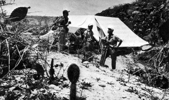 В стране драконов и сказочных птиц - _23.jpg