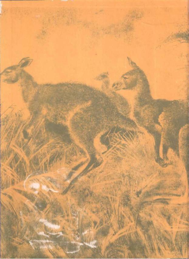 В стране драконов и сказочных птиц - _3.jpg