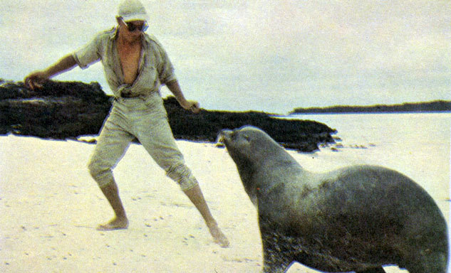 В стране драконов и сказочных птиц - _41.jpg