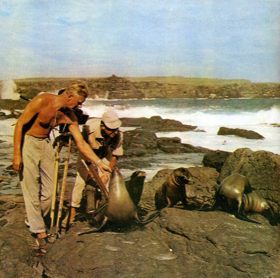 В стране драконов и сказочных птиц - _39.jpg