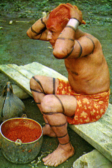 В стране драконов и сказочных птиц - _82.jpg