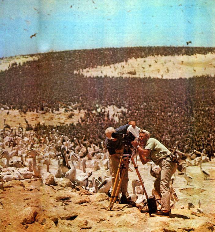 В стране драконов и сказочных птиц - _65.jpg