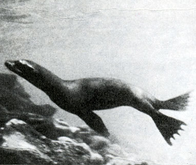 В стране драконов и сказочных птиц - _43.jpg