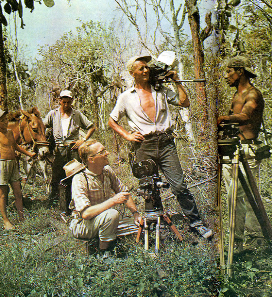 В стране драконов и сказочных птиц - _50.jpg