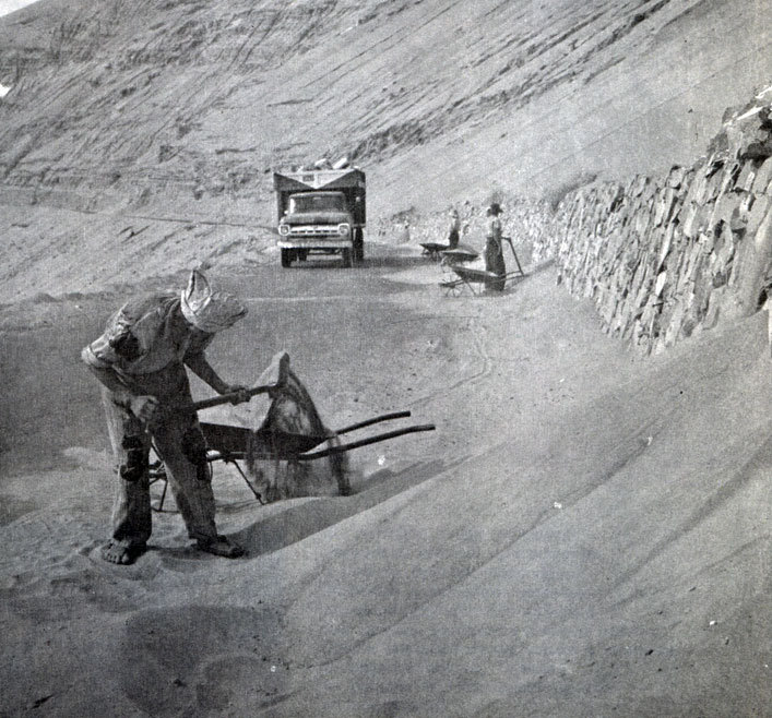 В стране драконов и сказочных птиц - _67.jpg