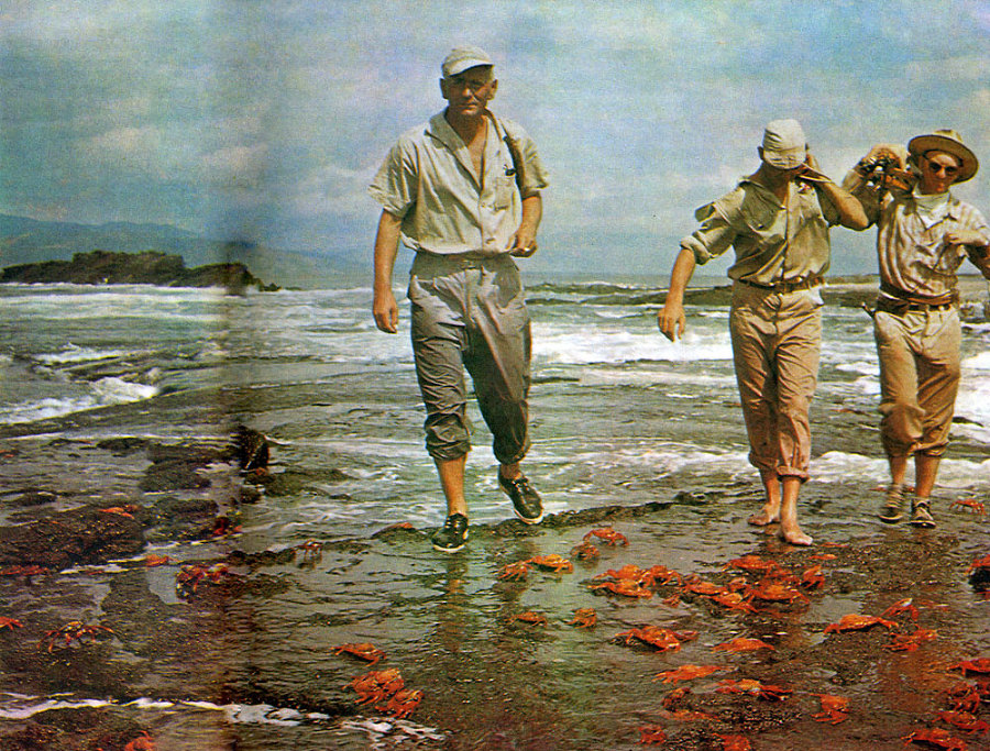 В стране драконов и сказочных птиц - _22.jpg