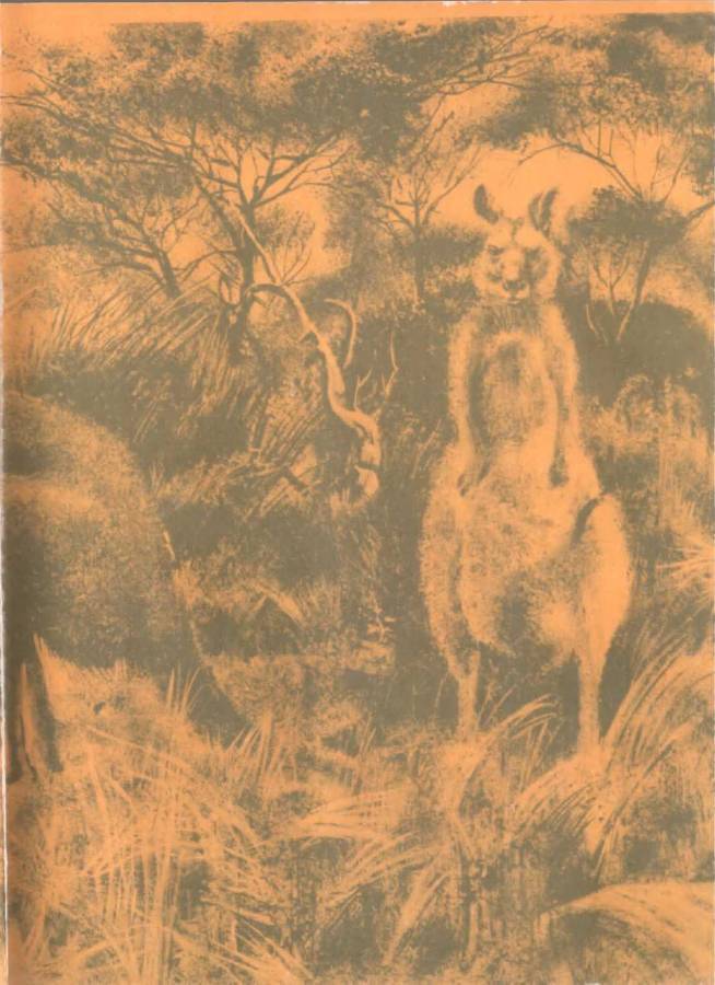 В стране драконов и сказочных птиц - _2.jpg