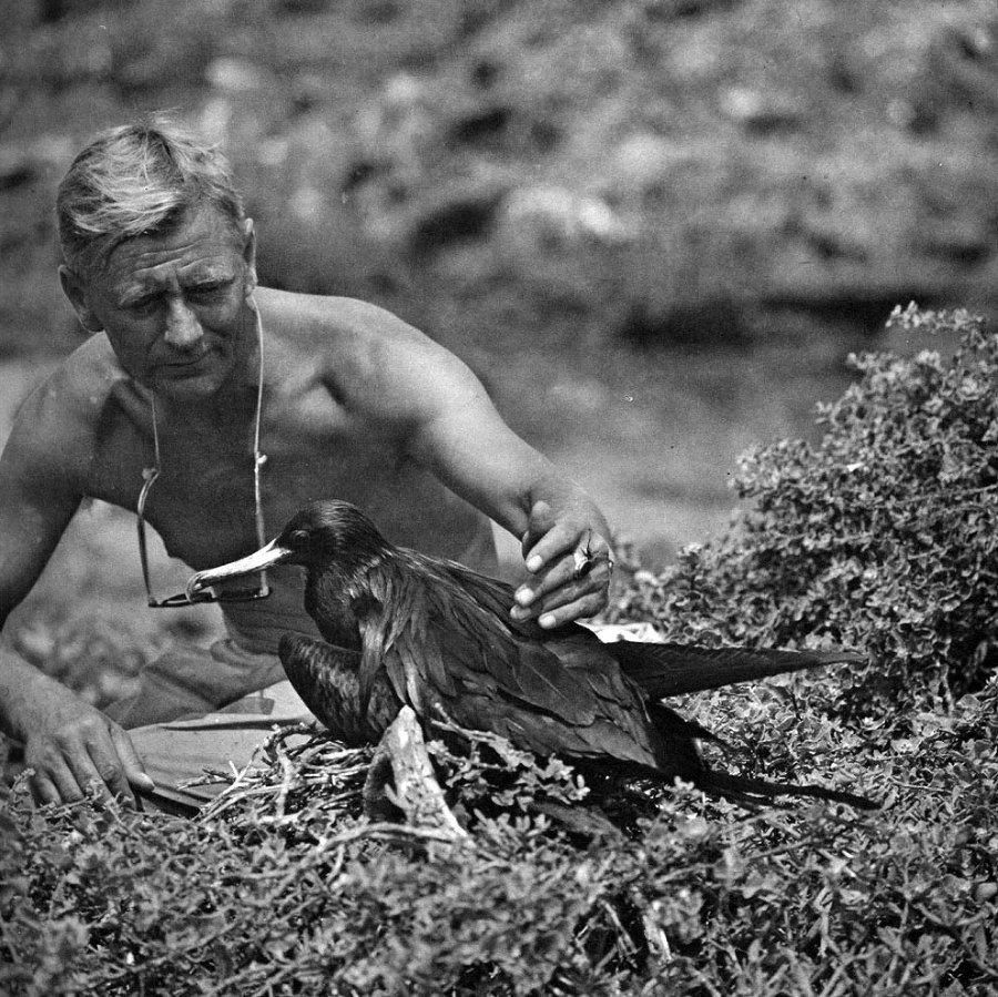 В стране драконов и сказочных птиц - _64.jpg