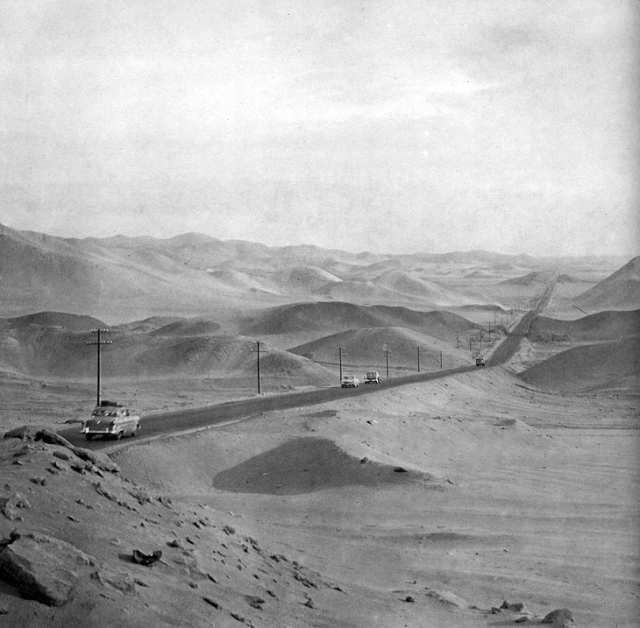 В стране драконов и сказочных птиц - _66.jpg