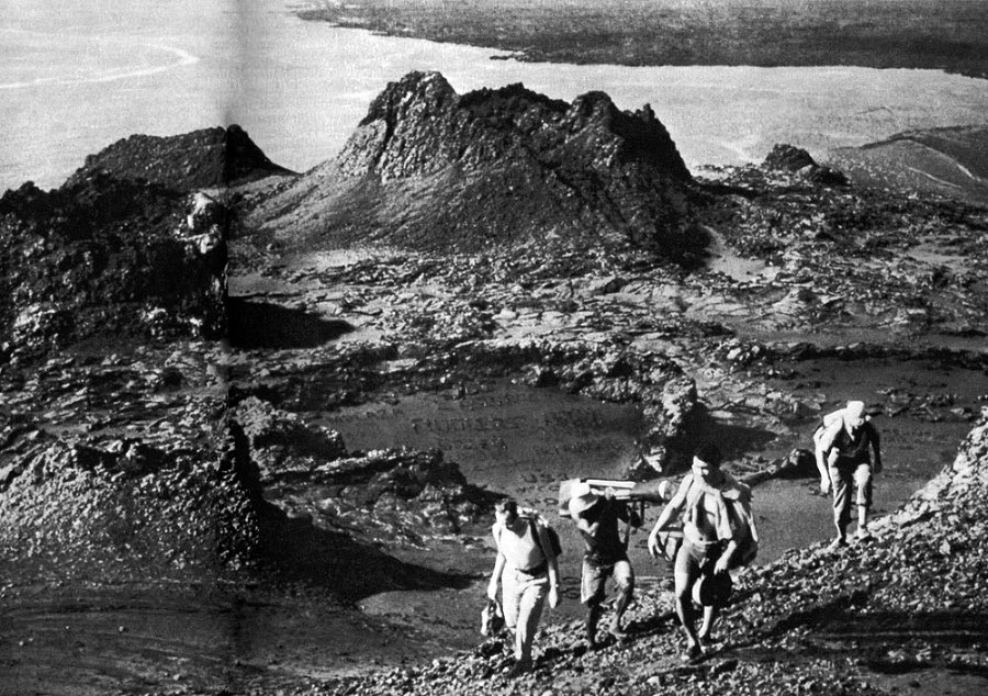 В стране драконов и сказочных птиц - _24.jpg