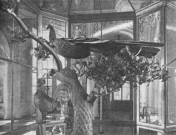 Когда и как построен Эрмитаж - i_025.jpg